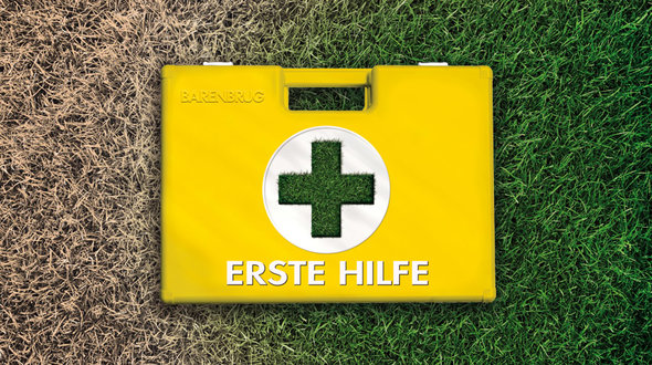 Erste Hilfe bei Trockenschäden Visual_link_Erste-Hilfe-rasen_900.jpg